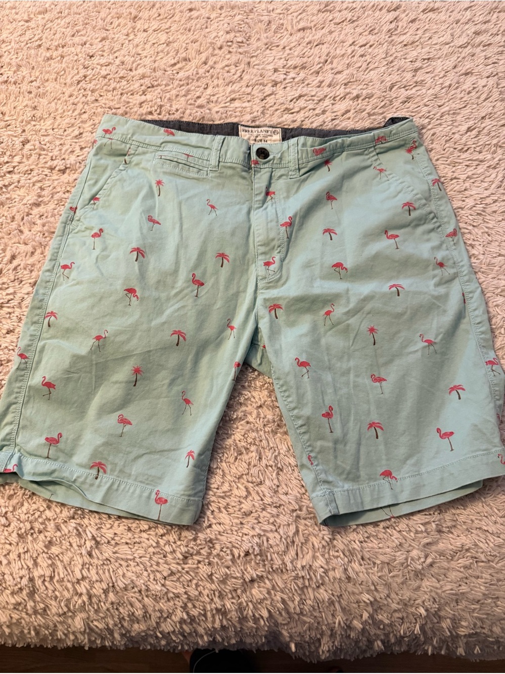 Free Planet  Mint Green Flamingo Print Men’s Shorts size 34.